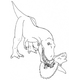 Illustration for article titled How to eat a emTriceratops/em in four easy steps